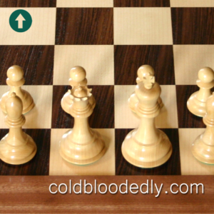 coldbloodedly.com